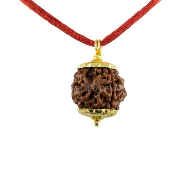 4 Mukhi Rudraksha Pendant/ Four Face Rudraksha Pendant - Golden Metal Cap (Nepal)