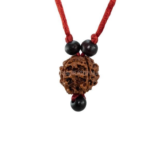 4 Mukhi Rudraksha Pendant/ Four Face Rudraksha Pendant - (Nepal)