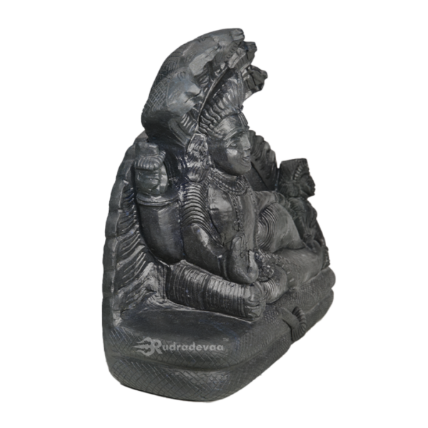 Lord Vishnu Sleeping Shaligram Idol