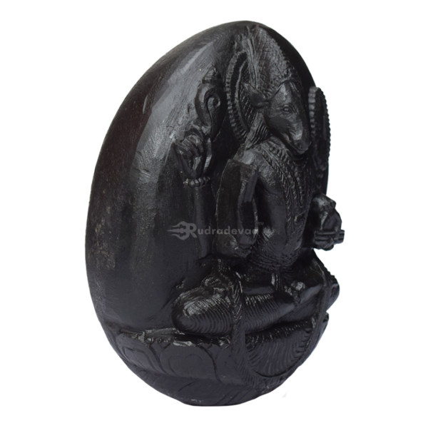 Varaha Shaligram Idol