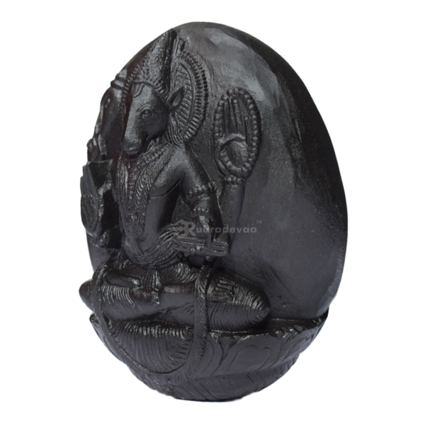 Varaha Shaligram Idol