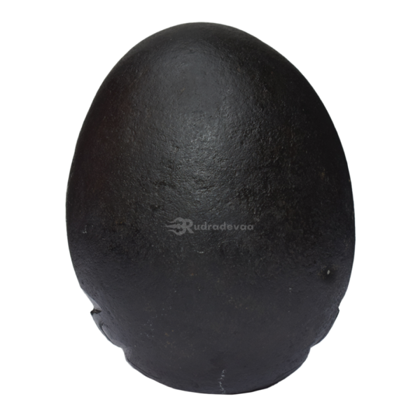 Varaha Shaligram Idol