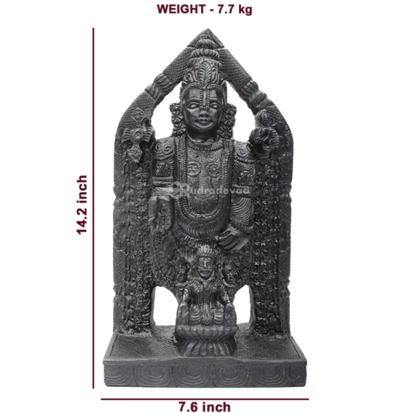 Lord Tirupati Balaji/ Venkateshwara with Laxmi Ji Shaligram Idol