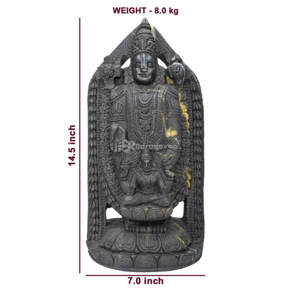 Lord Tirupati Balaji with Laxmi Ji carved on Janeu Shaligram Idol