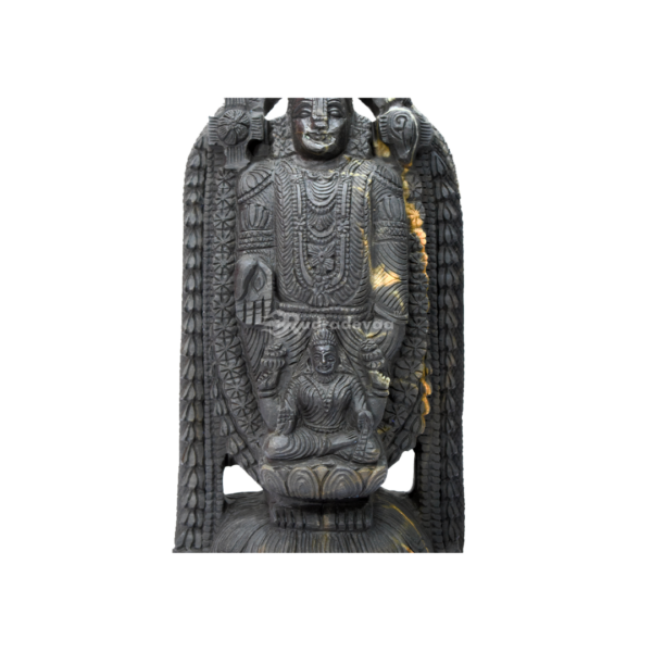 Lord Tirupati Balaji with Laxmi Ji carved on Janeu Shaligram Idol