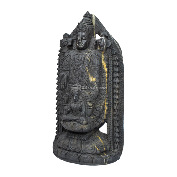 Lord Tirupati Balaji with Laxmi Ji carved on Janeu Shaligram Idol