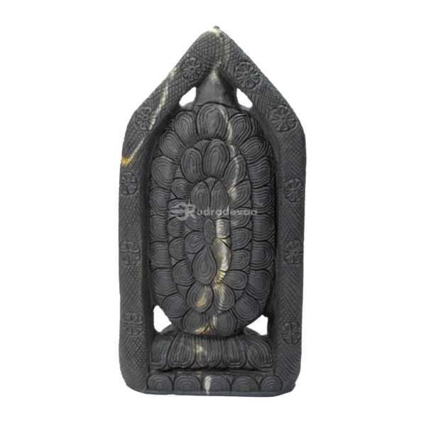 Lord Tirupati Balaji with Laxmi Ji carved on Janeu Shaligram Idol