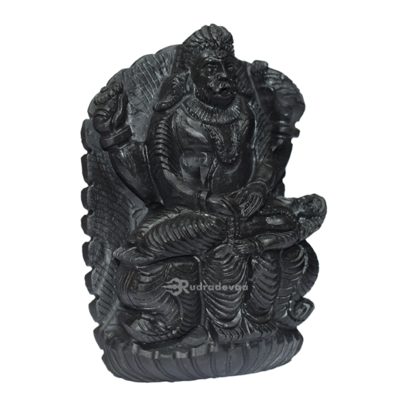 NARSIMHA Shaligram Idol