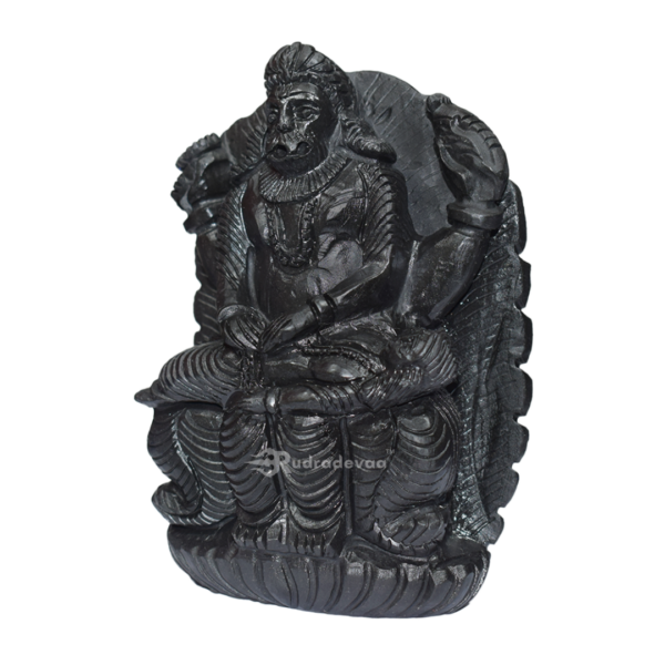 NARSIMHA Shaligram Idol