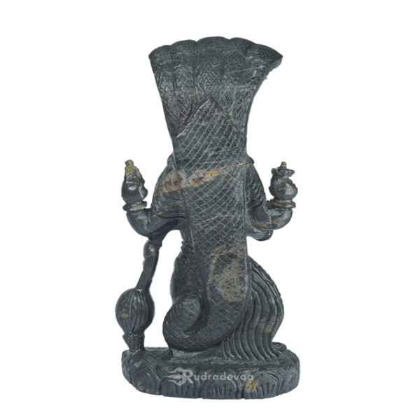 Lord Vishnu Standing Shaligram Idol