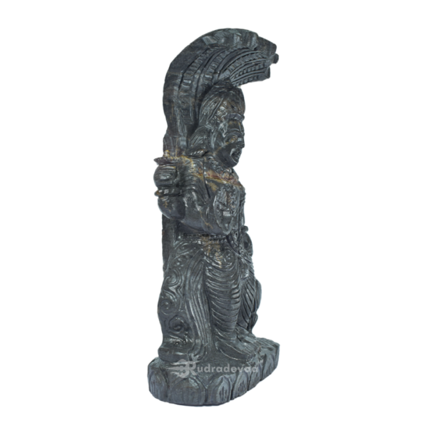 Lord Vishnu Standing Shaligram Idol