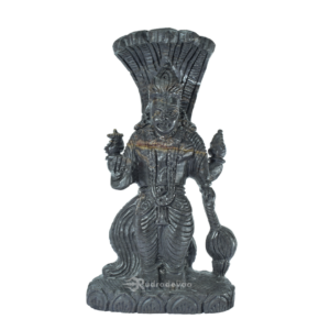 Lord Vishnu Standing Shaligram Idol