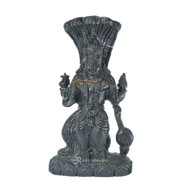 Lord Vishnu Standing Shaligram Idol