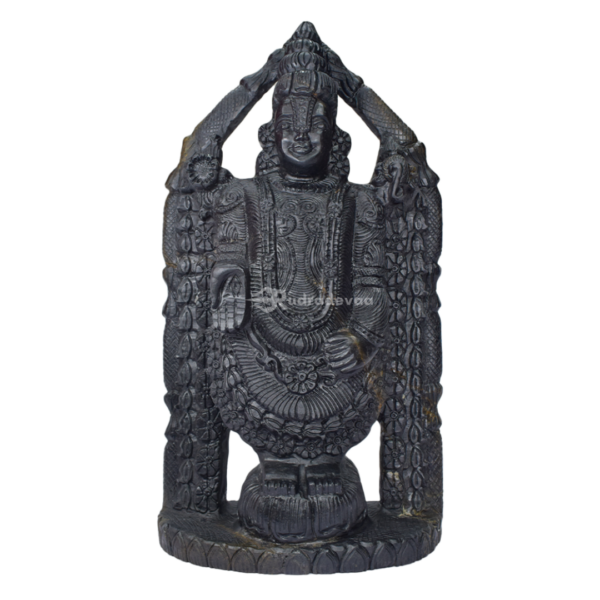 Tirupati Balaji Shaligram Idol