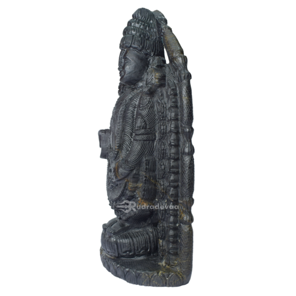 Tirupati Balaji Shaligram Idol