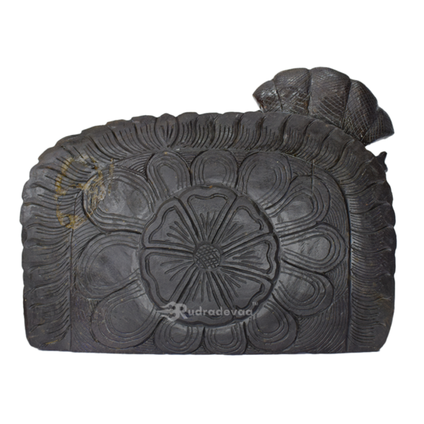 Lord Vishnu Sleeping Shaligram Idol