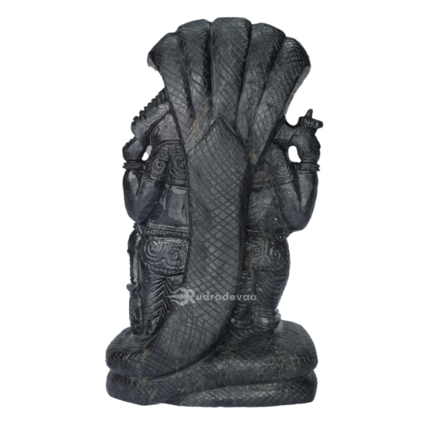 Lord Vishnu Standing Shaligram Idol