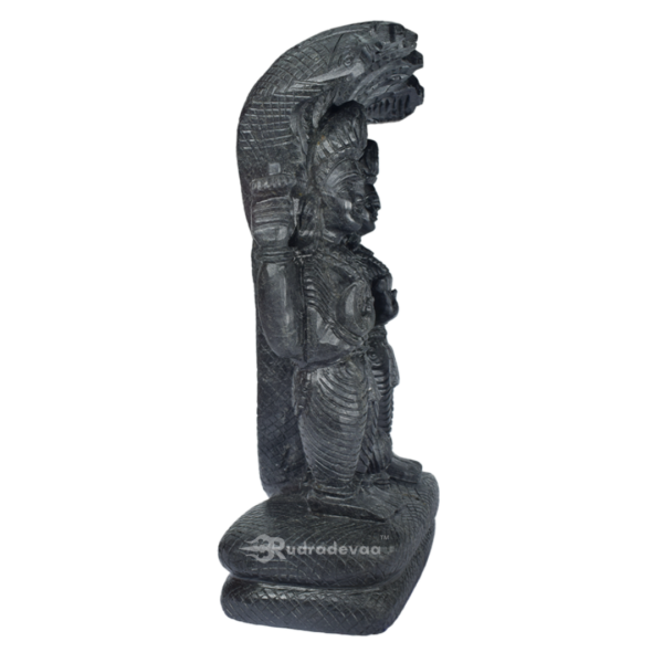 Lord Vishnu Standing Shaligram Idol