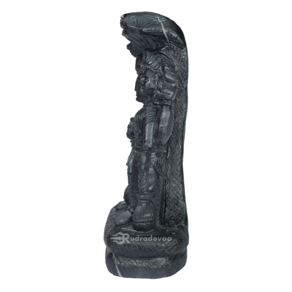 Lord Vishnu Standing Shaligram Idol