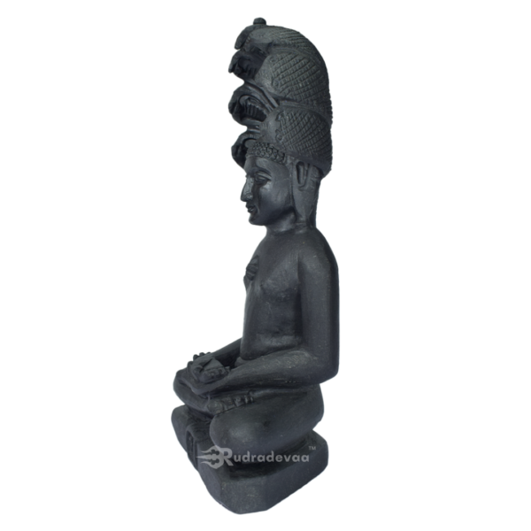 Lord Jain Shaligram Idol