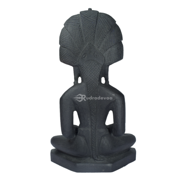 Lord Jain Shaligram Idol