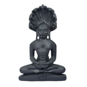 Lord Jain Shaligram Idol