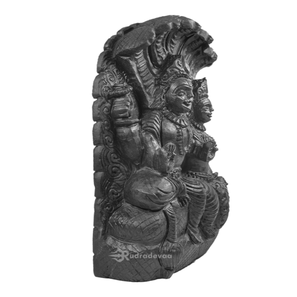 Shree Laxmi Narayan Shaligram Idol