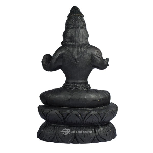 Maa Kolhapuri Shaligram Idol