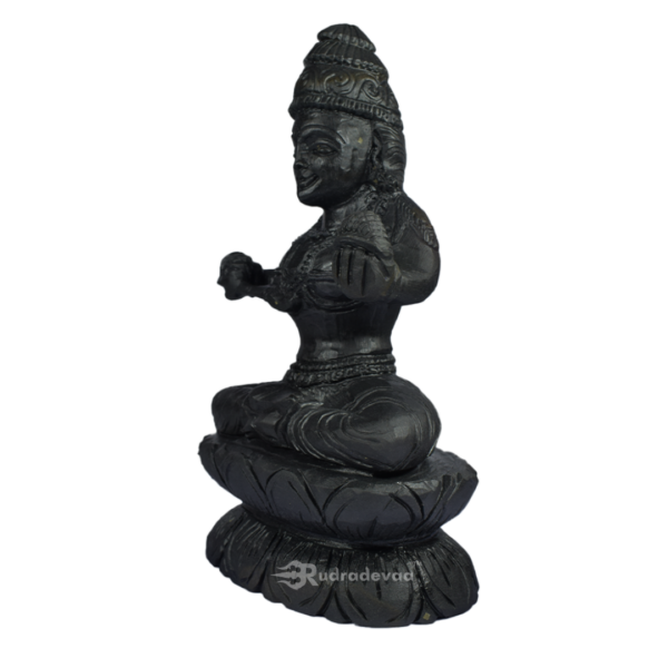 Maa Kolhapuri Shaligram Idol