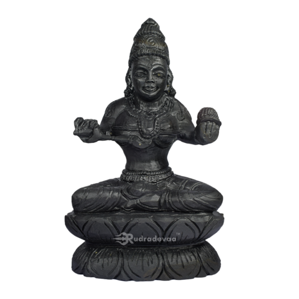 Maa Kolhapuri Shaligram Idol