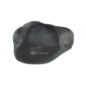 Sarvottam Bhu Varahadev Shaligram Shila