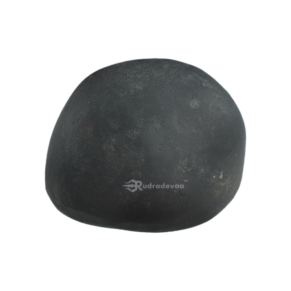 Adbhut Golden Damodar Shaligram Shila