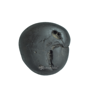 Sacred Krishna Pradyumana Shaligram Shila