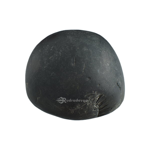 Adbhut Golden Damodar Shaligram Shila