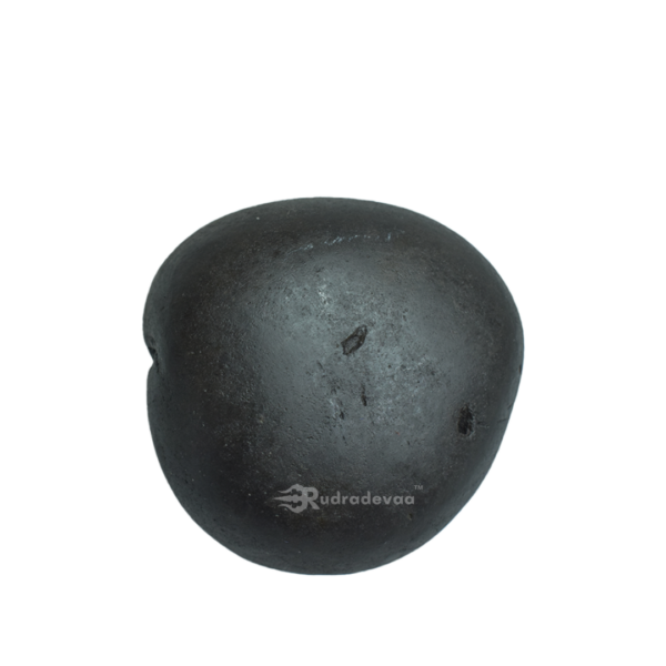 Sacred Krishna Pradyumana Shaligram Shila