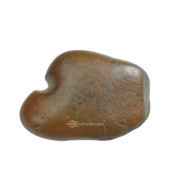 Adbhut Raktavarna Varaha Shaligram Shila