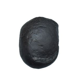 Adwaitya Surya Laxmi Param Annirudha Shaligram Shila