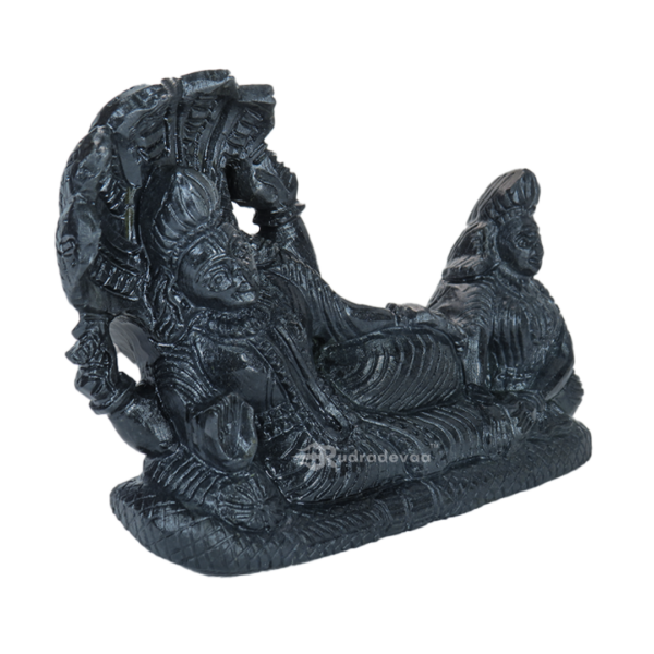 Shree Laxmi Narayan 3D Shaligram Idol