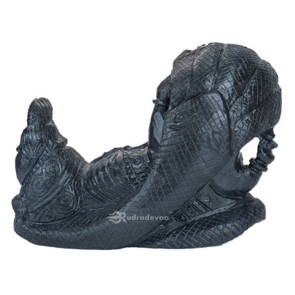 Shree Laxmi Narayan 3D Shaligram Idol