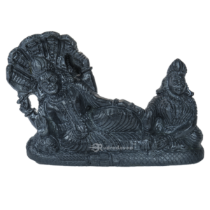 Shree Laxmi Narayan 3D Shaligram Idol