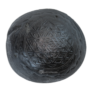 Rekhachitra Yantra Shaligram Idol