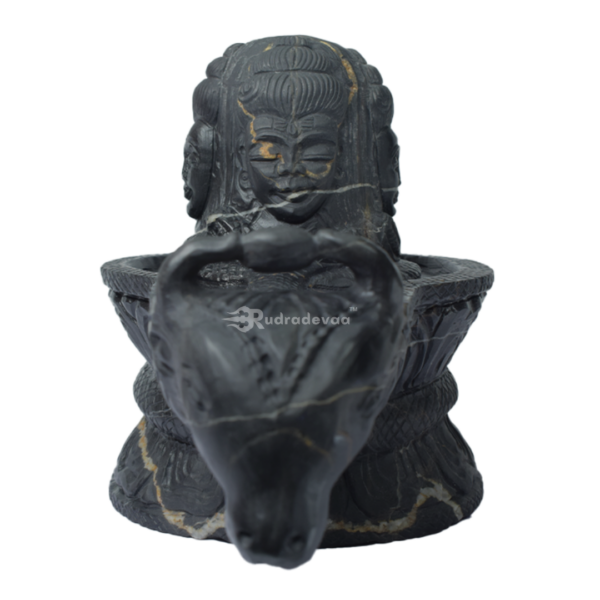 Shivling Shaligram Idol