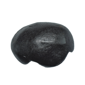 Sacred Mahalaxmi Kalpvriksha Shankh Shaligram Shila