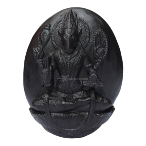 Varaha Shaligram Idol